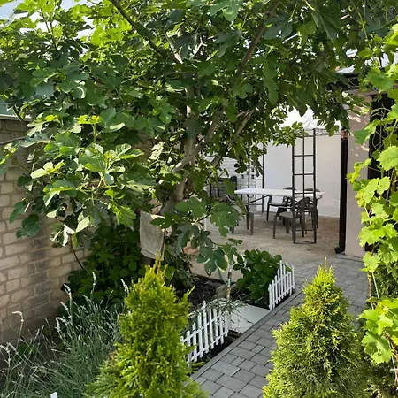 Sunny Nest Holiday home