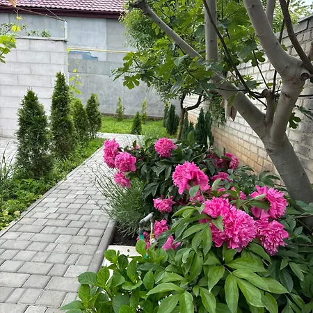 Sunny Nest Holiday home *