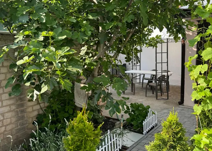 Sunny Nest Holiday home