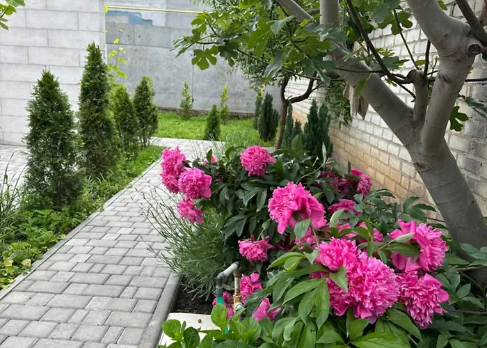 Sunny Nest Semesterbostad *